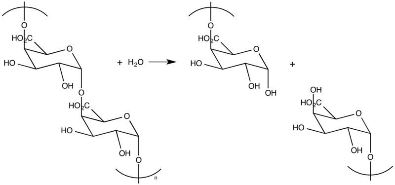 File:Polygalacturonase mechanism.png