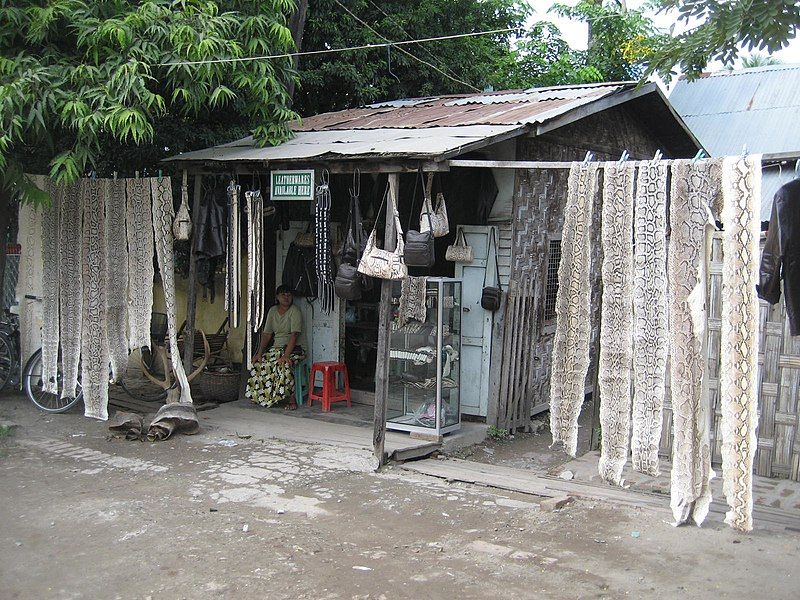 File:Python Skins Burma.jpg