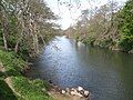 The river just south of Duffield