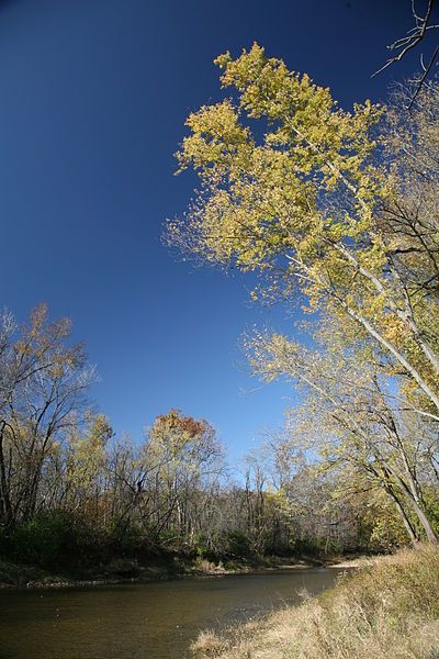 File:Vermilion River Kickapoo.jpg