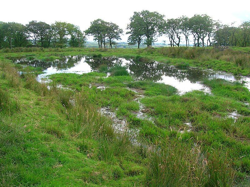 File:Cuff Hill Lochan.jpg