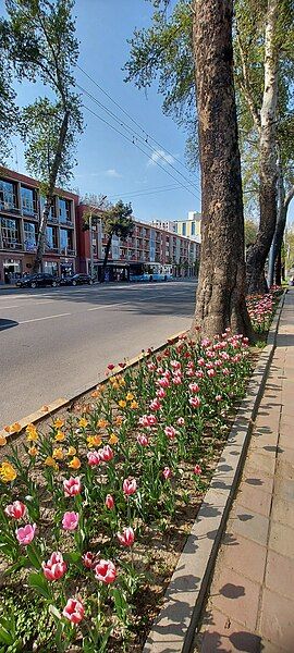 File:Dushanbe Rudaki avenue.jpg