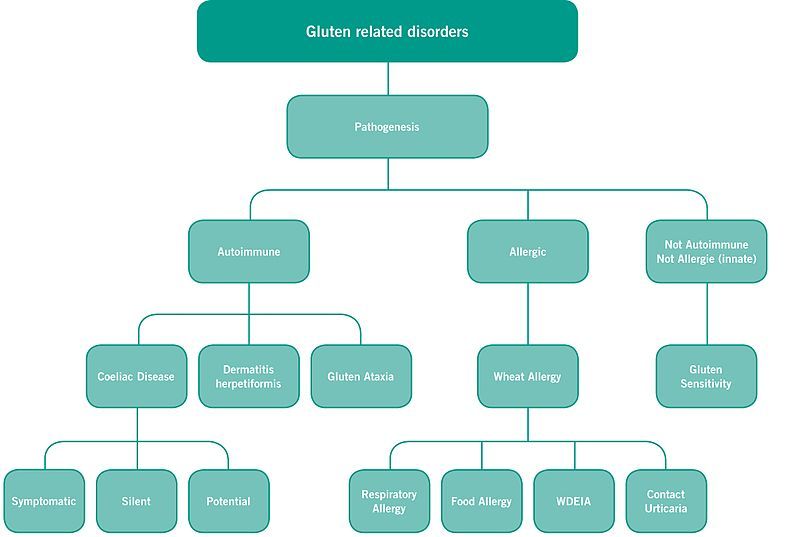 File:Gluten-related disorders.jpg