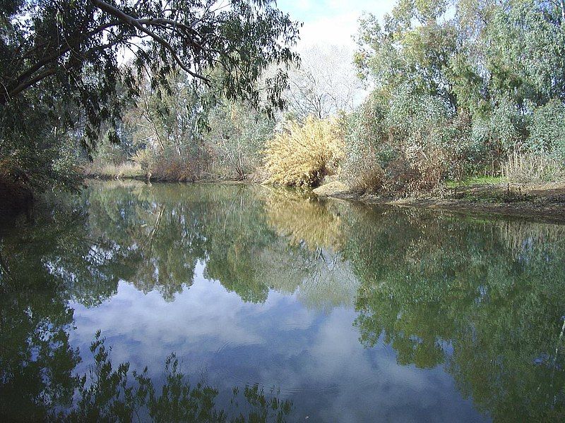 File:Guadiamar 06-01-06 commons.JPG