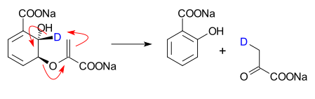 Isochorismate pyruvate lyase converts isochorismate into salicylate and pyruvate