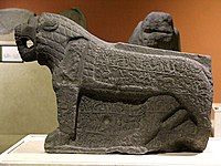 Marash Lion side view