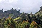 Muranga County showing the landscape