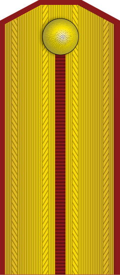 File:KoS-Army-Infantry-Warrant-officer.svg