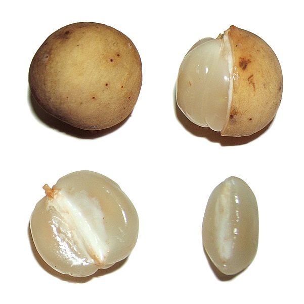 File:Lansiumdomesticumfruit.jpg