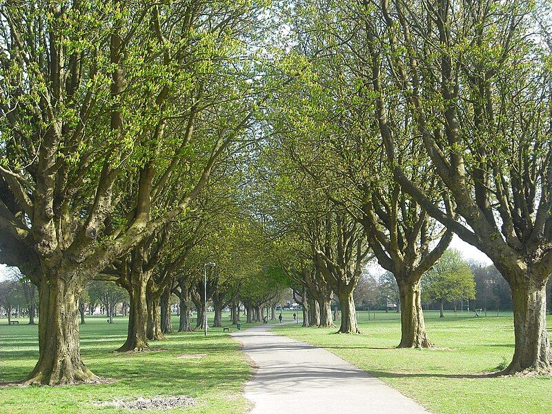 File:Llandaff Fields path.JPG