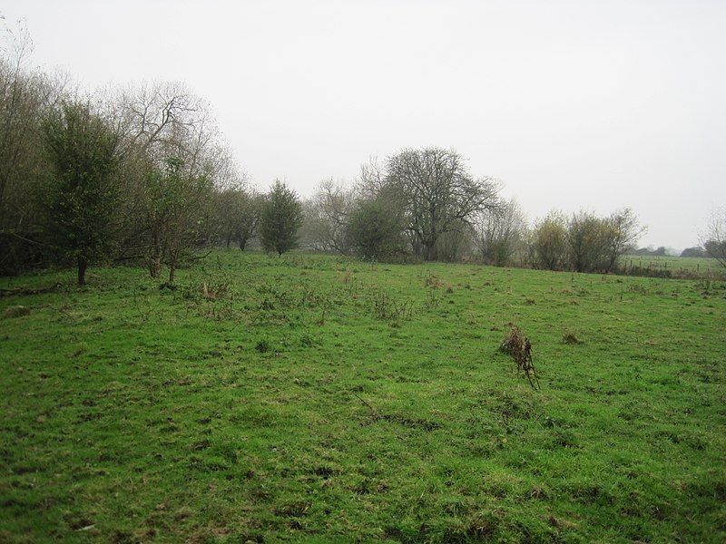 File:Lockington Marshes 3.jpg