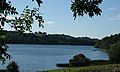 Lough Bane An Loch Bán