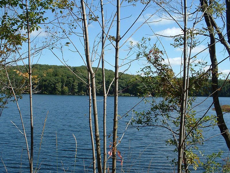 File:Otis-Benton Pond.JPG