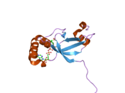 1xw4: Crystal Structure of Human Sulfiredoxin (Srx) in Complex with ADP