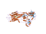 2ear: P21 crystal of the SR CA2+-ATPase with bound TG