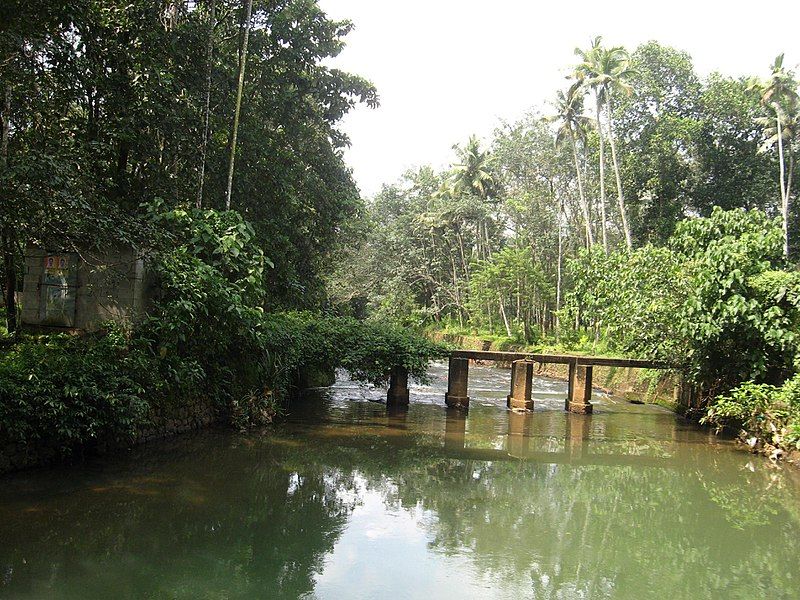 File:Pannagam Thodu.JPG