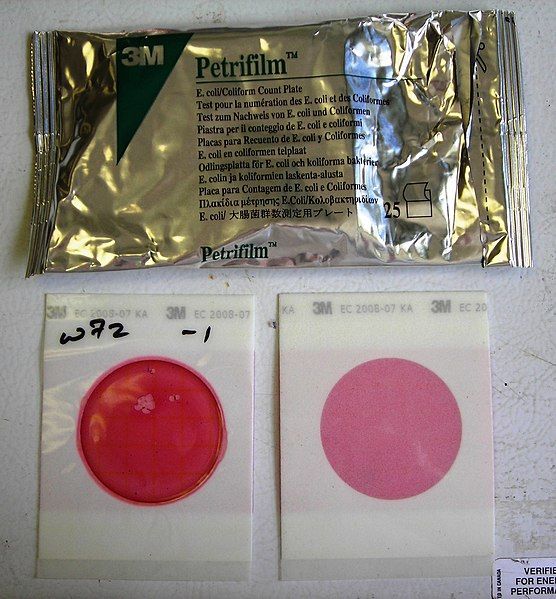 File:Petrifilm new.JPG