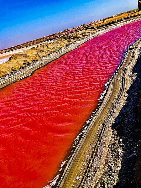 File:Pink lake.jpg