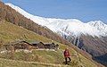 The Finailhöfe - leftmost snow-capped mountain is the Similaun. Out of sight to the left is the Fineilspitze, on which ridge Ötzi the Iceman was found.