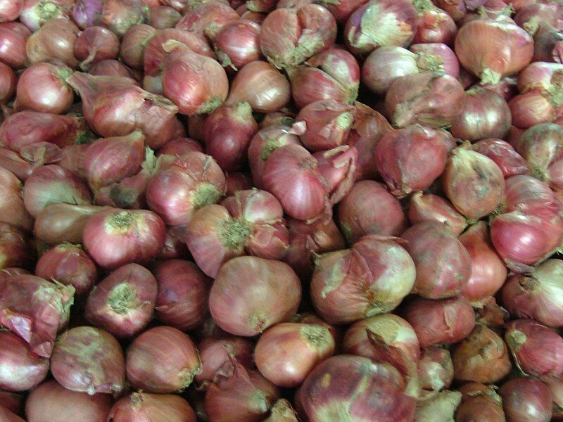 File:Shallot bawang merah.jpg