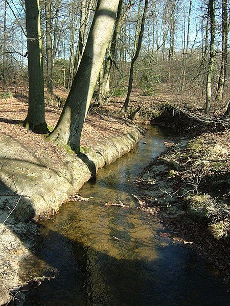 File:WiedeyFluss0318.jpg