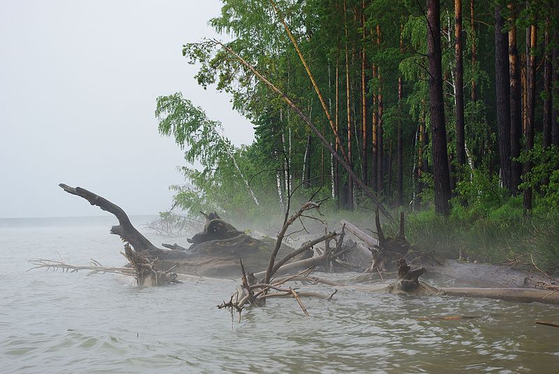 File:В плохую погоду.jpg