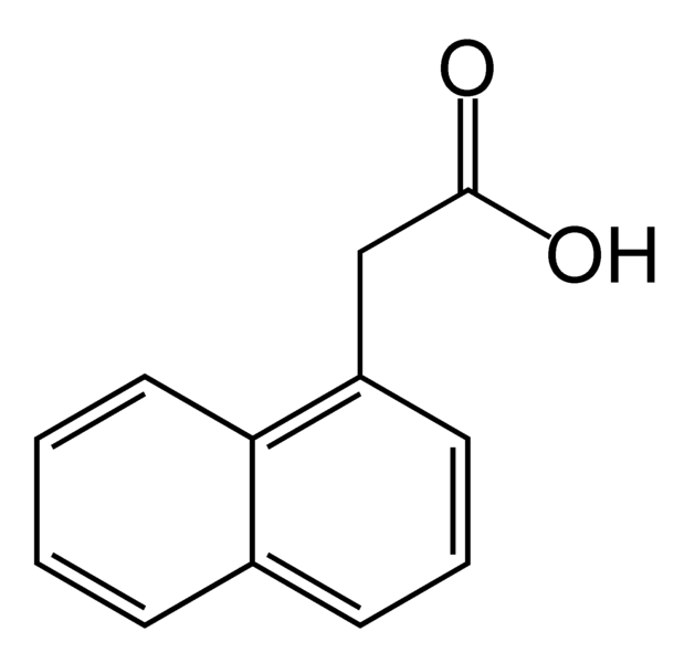 File:1-Naphthaleneacetic acid.png