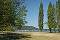 Picnic tables on a grassy field near a large lake