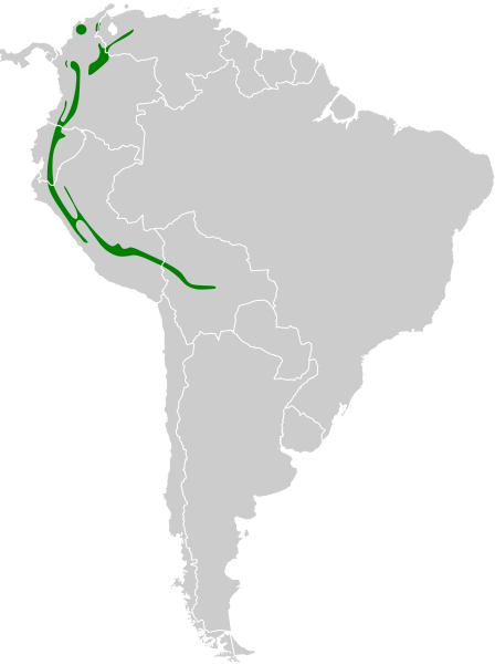 File:Ampelion rubrocristatus map.svg