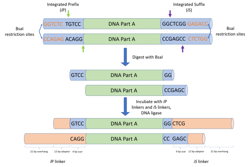 File:BASIC Parts Preparation.png