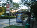 Typical bus stop in Singapore