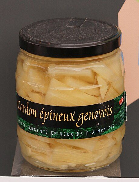 File:Cardon épineux genevois.jpg