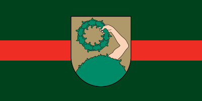 File:Flag of Talsi.svg