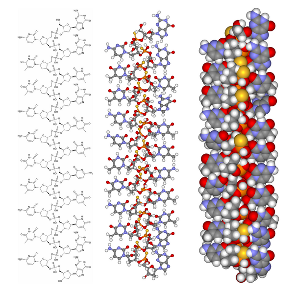 File:Fomivirsen composite.png