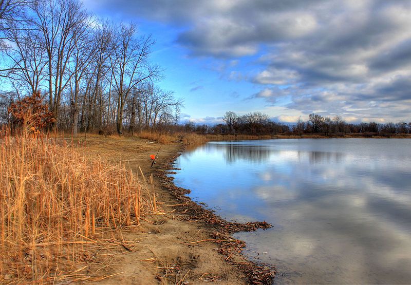 File:Gfp-illinois-beach-state-park-left-shoreline.jpg