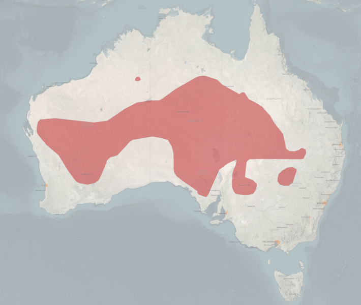 File:Kultarr IUCN Range.png