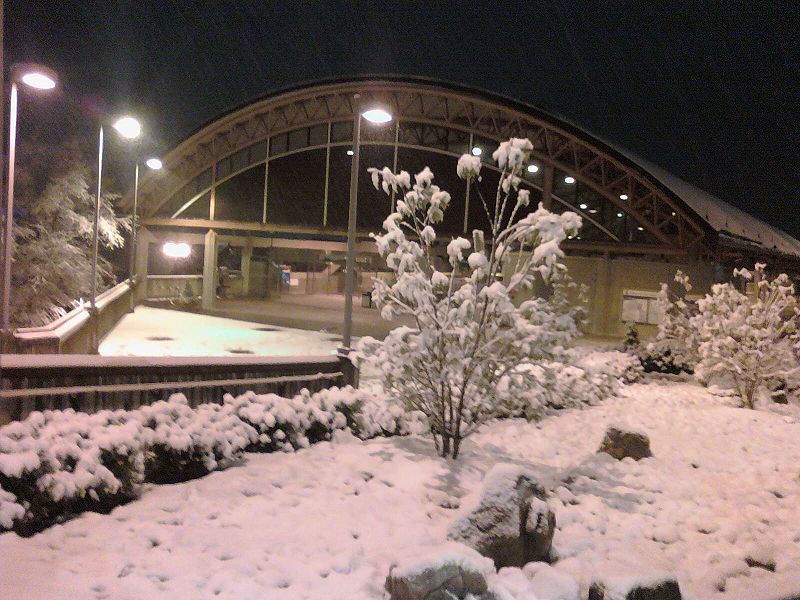 File:MARTAMedicalCenterRailStationAtlantainSnow.JPG