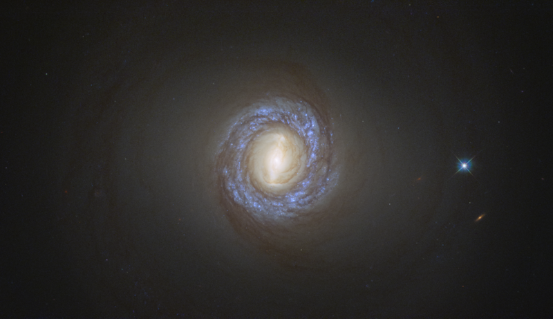 File:NGC 1317.png