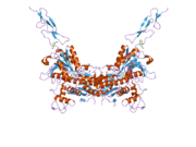 2e4x: Crystal structure of the extracellular region of the group II metabotropic glutamate receptor complexed with 1S,3R-ACPD