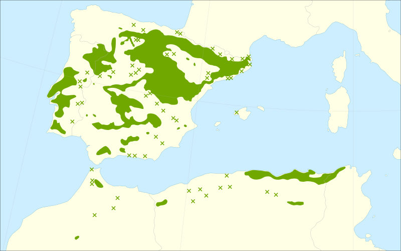 File:Quercus faginea range.svg