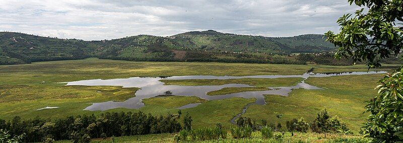 File:Rugezi wetland.jpg