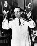 Jonas Salk (1955)