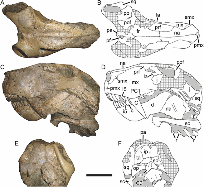 File:Smilesaurus.png