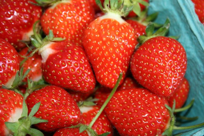 File:Strawberries picked.jpg