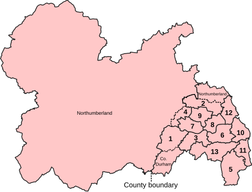 Parliamentary constituencies in Tyne and Wear (2024-present)