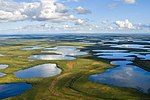 Landscape with lakes and tundra