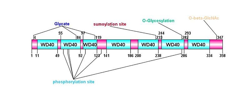 File:WDR53 new.jpg