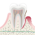 Thumbnail for version as of 01:58, 20 February 2024