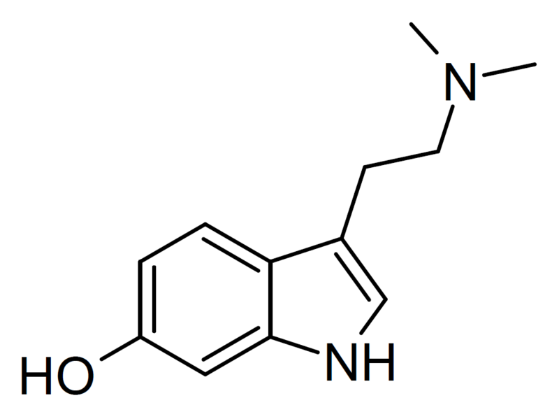 File:6-OH-DMT structure.png