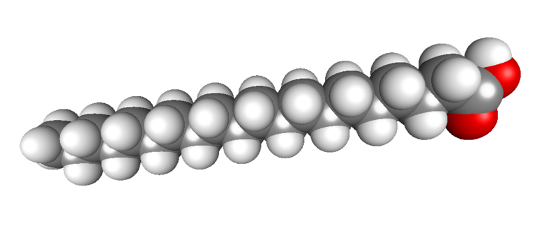 File:Arachidic Acid.png